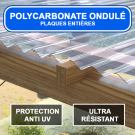 Plaque polycarbonate transparente ondulée