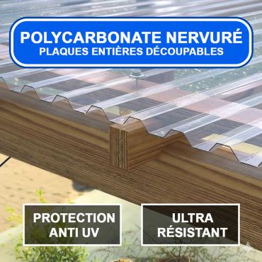 Polycarbonate nervuré transparent